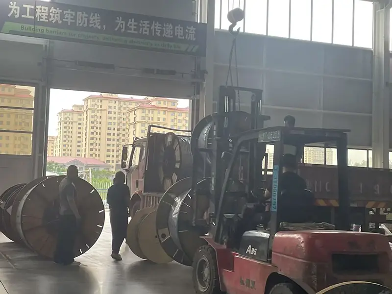 6/10kV XLPE Insulated Power Cable